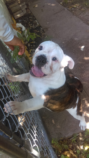 Pet Supply Store «Petco Animal Supplies», reviews and photos, 5236 TX-360, Grand Prairie, TX 75052, USA