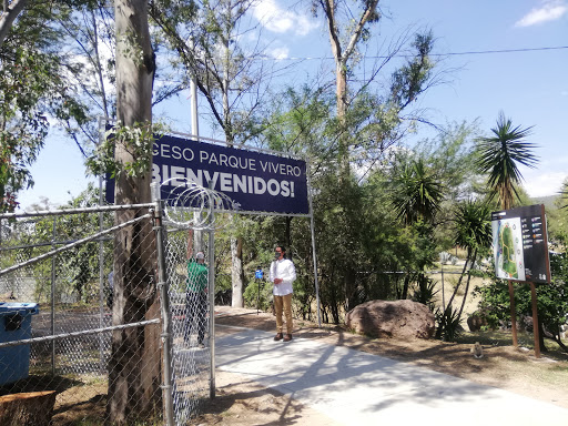 Parque Vivero - Sistema De Parques De León