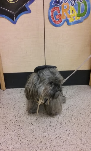 Pet Supply Store «PetSmart», reviews and photos, 849 E 23rd St, Panama City, FL 32405, USA