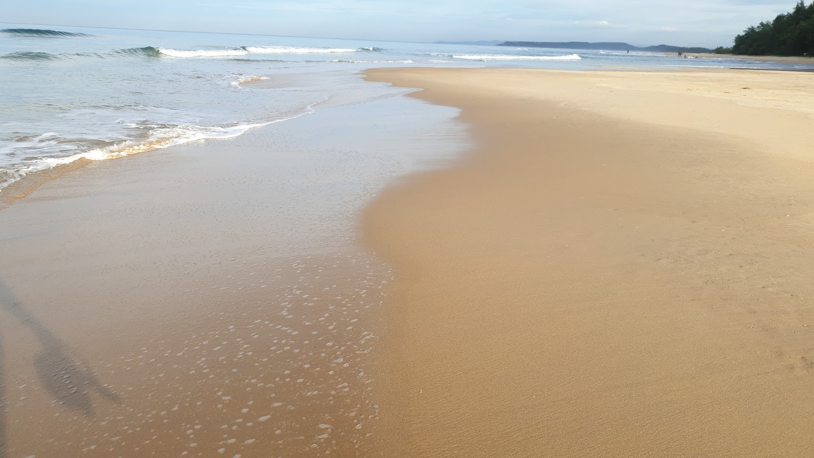 Zdjęcie Alvekodi Beach z proste i długie
