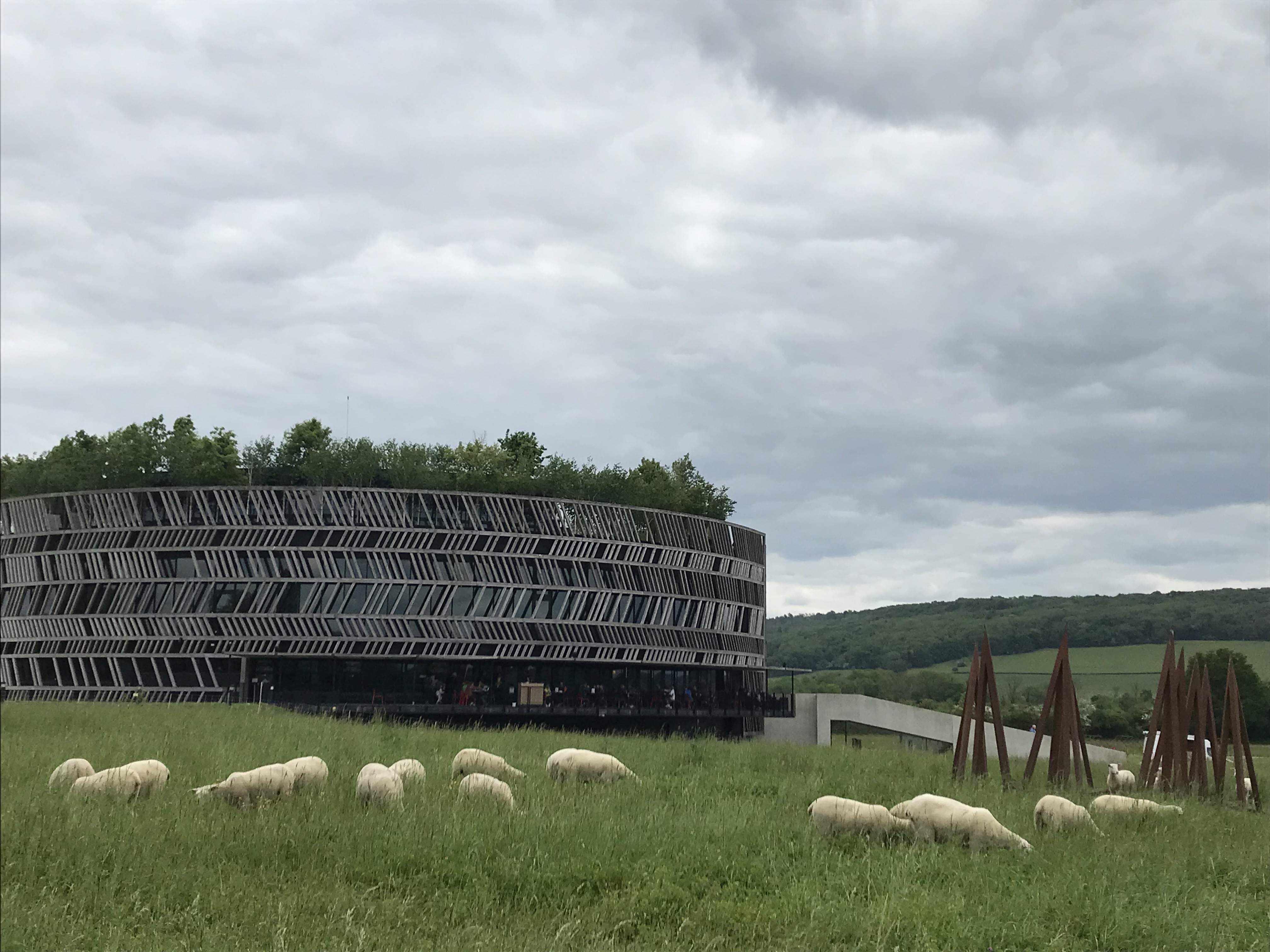 Photo n° 1 de l'avis de Chouette.a fait le 22/05/2023 à 16:11