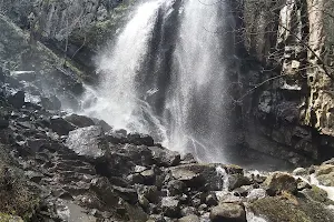 Boyana Waterfall - starting point image