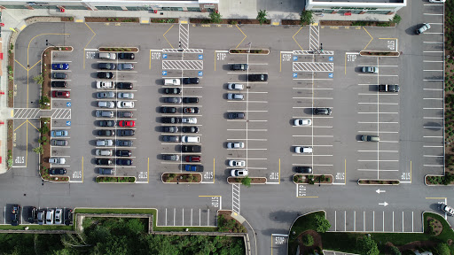 Pet Supply Store «Pet Supplies Plus», reviews and photos, 101 Sutton Ave, Oxford, MA 01540, USA