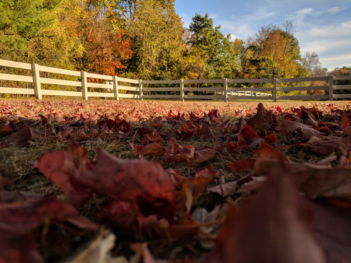 Park «Endicott Park (Town of Danvers)», reviews and photos, 57 Forest St, Danvers, MA 01923, USA