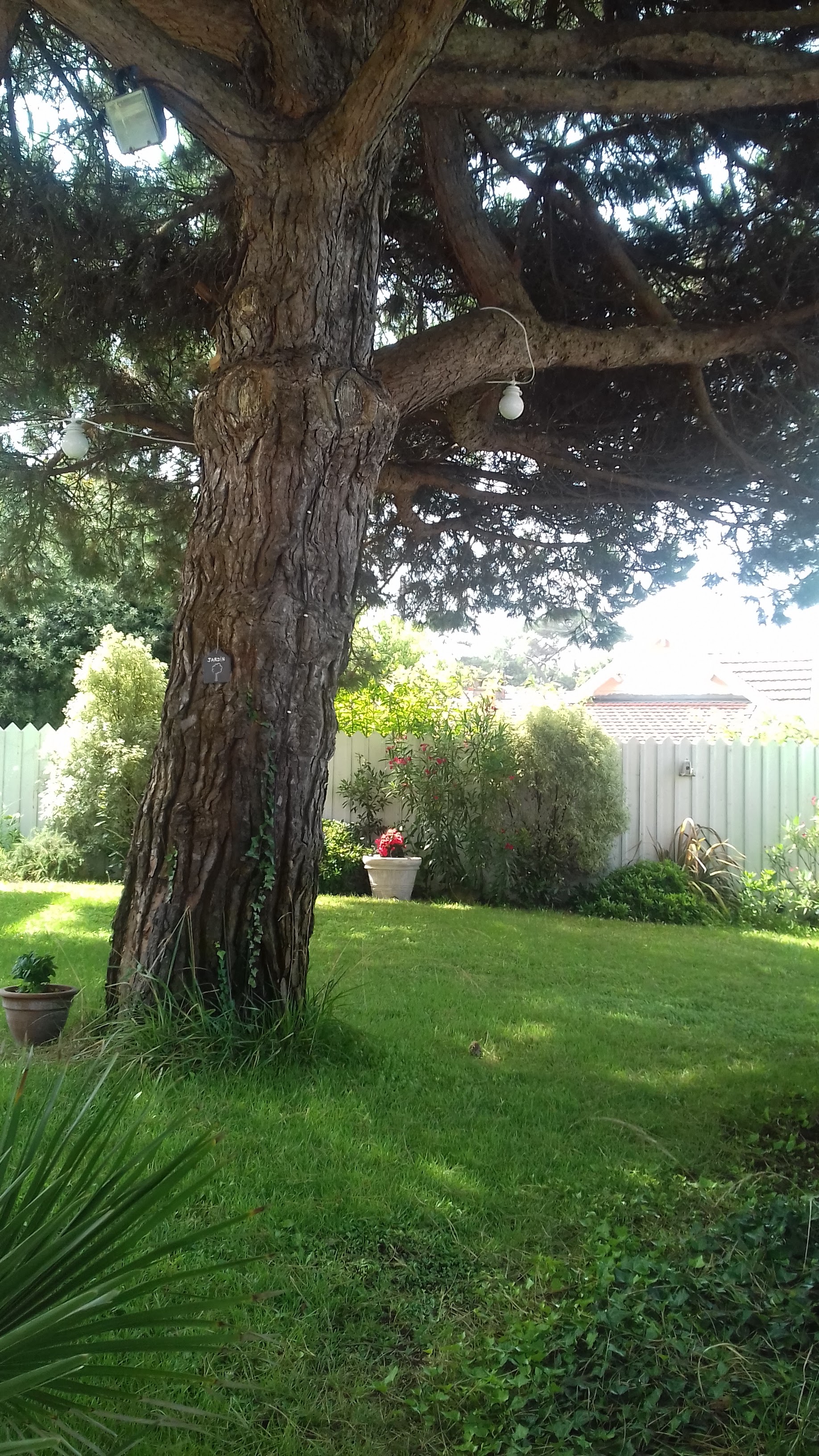 Photo n° 2 de l'avis de Isabelle.u fait le 07/08/2018 à 12:05