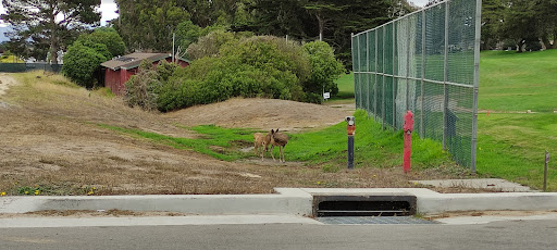 Golf Course «Pacific Grove Golf Links», reviews and photos, 77 Asilomar Ave, Pacific Grove, CA 93950, USA