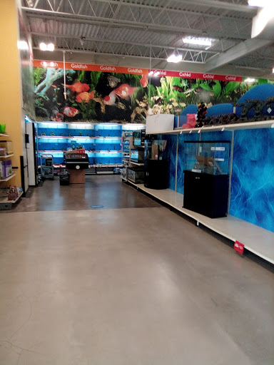 Pet Supply Store «PetSmart», reviews and photos, 3401 Erie Blvd E, Syracuse, NY 13214, USA