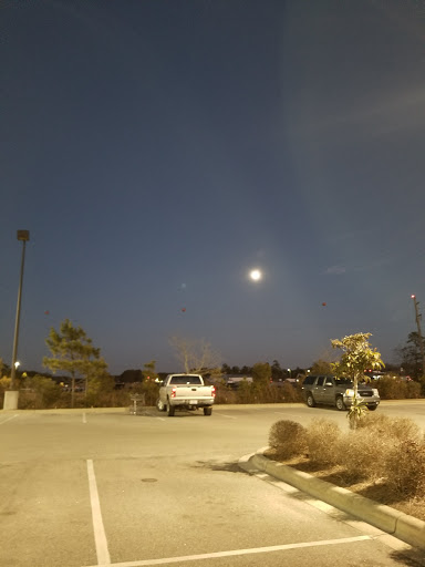 Grocery Store «Lowes Foods of Ocean Isle Beach», reviews and photos, 6278 Beach Dr SW #5, Ocean Isle Beach, NC 28469, USA