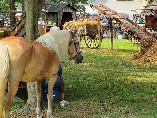 Museum «Rough & Tumble Engineers Msm», reviews and photos, 4997 Lincoln Hwy, Kinzers, PA 17535, USA