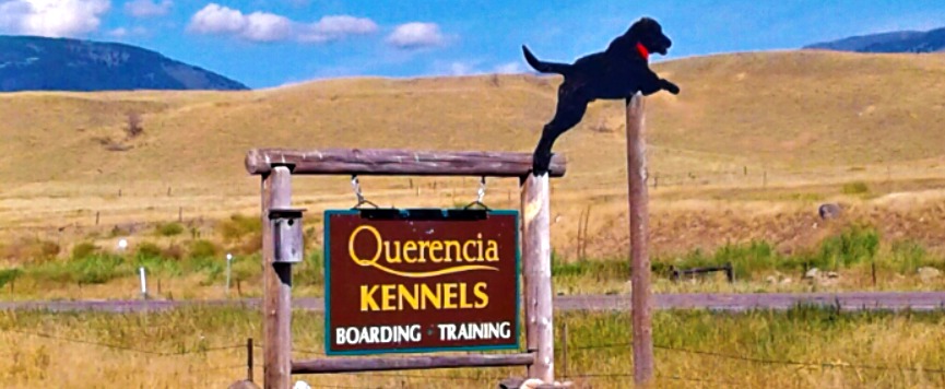 Querencia Kennels