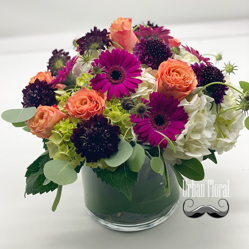 Florist «Urban Floral», reviews and photos, 671 Meriden Rd, Waterbury, CT 06705, USA