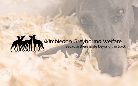 Wimbledon Greyhound Welfare image