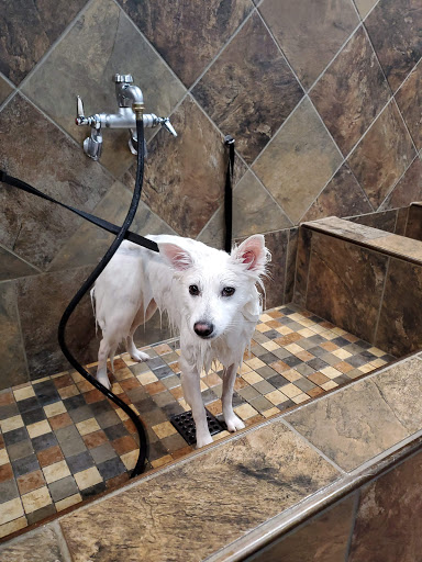 Pet Supply Store «Pet Valu», reviews and photos, 150 Main St, Lodi, NJ 07644, USA