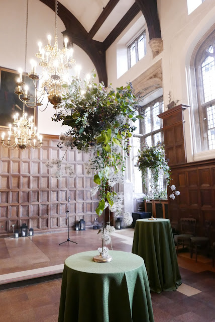 Dot and the Dandelion