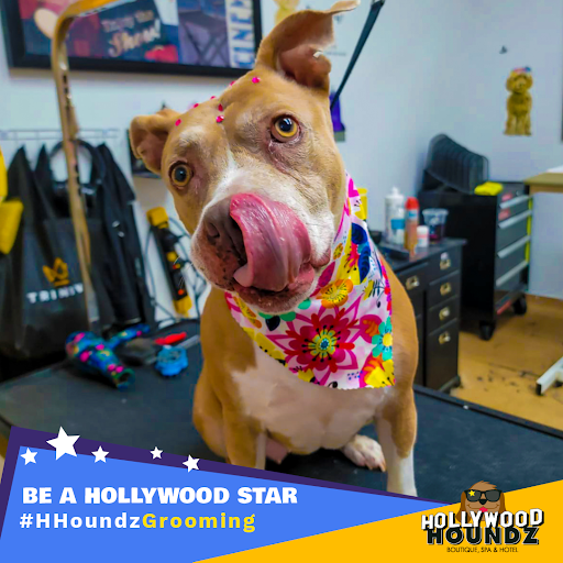 Pet Groomer «Hollywood Houndz Boutique, Spa & Hotel», reviews and photos, 4243 W Lake Mary Blvd, Lake Mary, FL 32746, USA