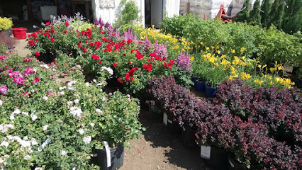 Doiron's Landscaping & Gardening Centre