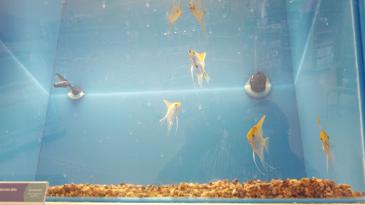 Pet Supply Store «PetSmart», reviews and photos, 1321 W Craig Rd, North Las Vegas, NV 89032, USA