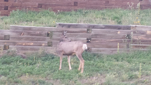 Park «Stetson Park», reviews and photos, 4870 Jedediah Smith Rd, Colorado Springs, CO 80922, USA