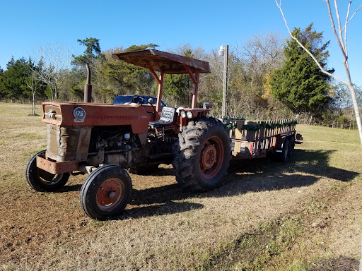 Winery «Bernhardt Winery», reviews and photos, 9043 County Rd 204, Plantersville, TX 77363, USA