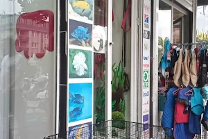 BOTANİK Pet Shop image