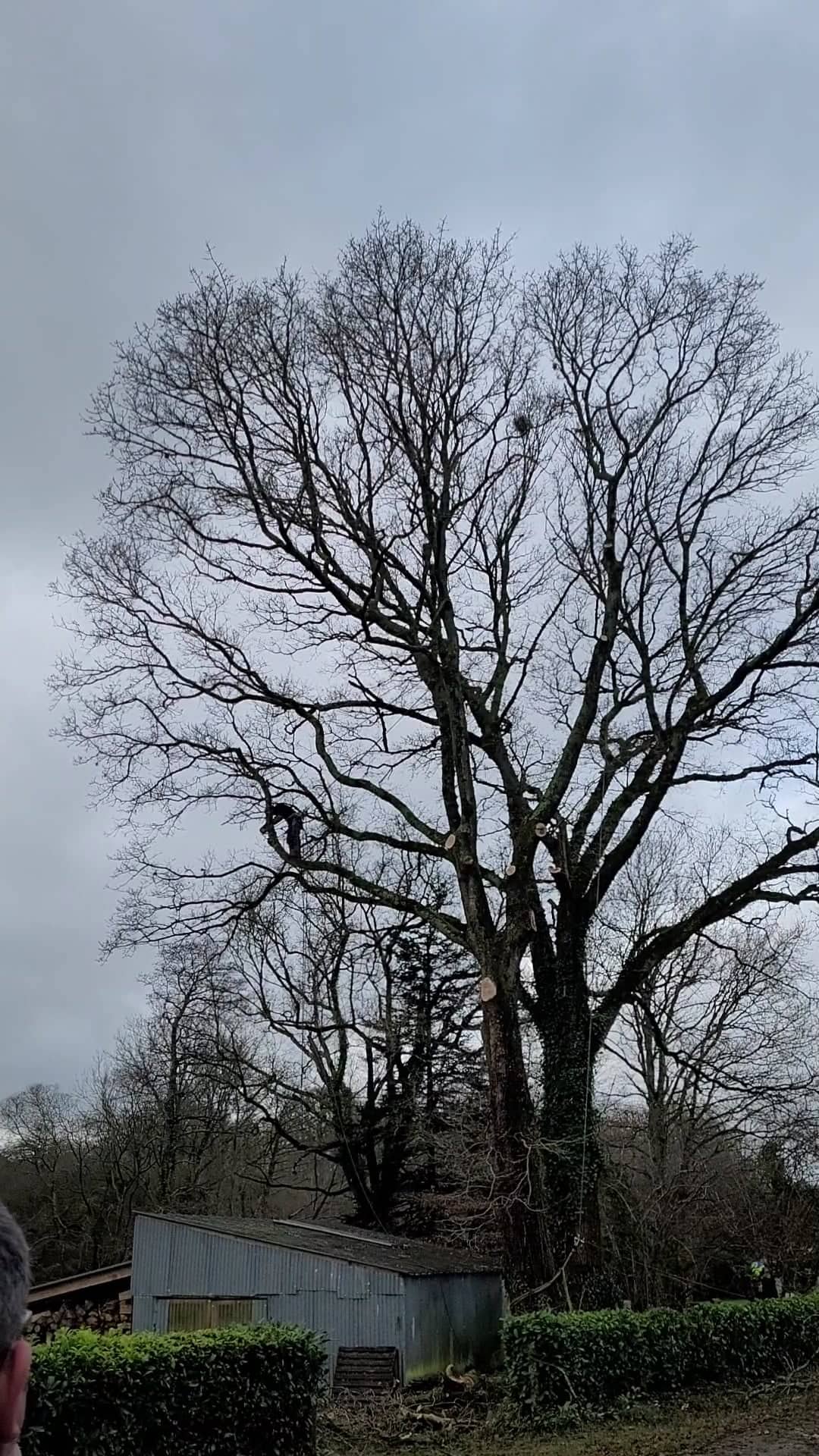 Photo n° 1 de l'avis de Stéphane. fait le 09/01/2022 à 16:57