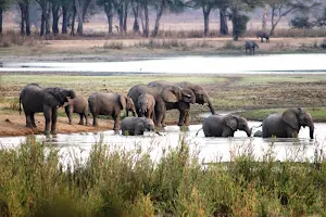 Vwaza Marsh Wildlife Reserve image