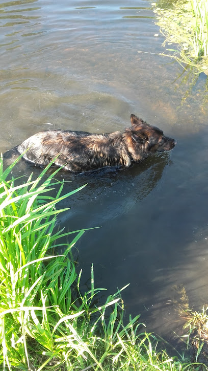 Tegelzetbedrijf Dassen