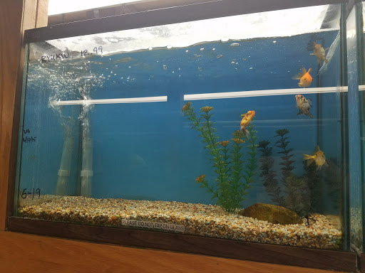 Pet Store «Pet Time», reviews and photos, 3141 W 11th Ave, Eugene, OR 97402, USA