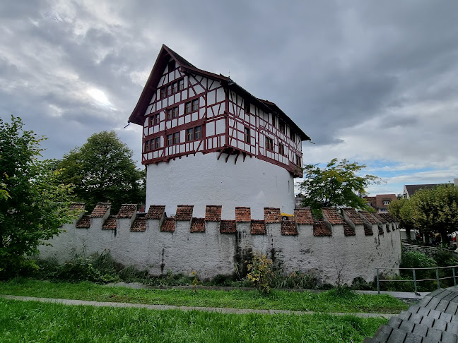 Museum Burg Zug