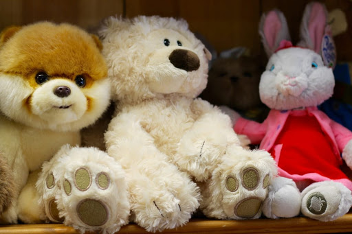 Toy Store «Castle Toys and Games - Wexford, PA», reviews and photos, 12033 Perry Hwy, Wexford, PA 15090, USA