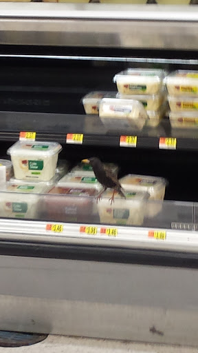 Department Store «Walmart Supercenter», reviews and photos, 3301 N Pontiac Trail, Commerce Charter Twp, MI 48390, USA