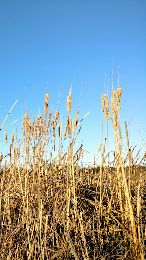 Wildlife Refuge «Great Meadows National Wildlife Refuge», reviews and photos, 73 Weir Hill Rd, Sudbury, MA 01776, USA