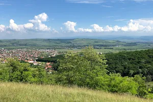 Panoramă Alba Iulia image