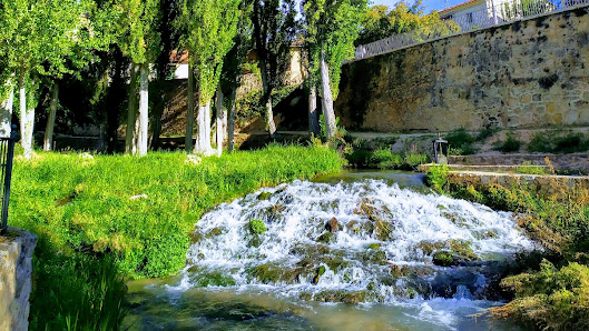 Oficina de Turismo de Trillo C. la Vega, 11, 19450 Trillo, Guadalajara, España