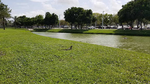 Golf Club «Pompano Beach Golf Shop», reviews and photos, 1101 N Federal Hwy, Pompano Beach, FL 33062, USA