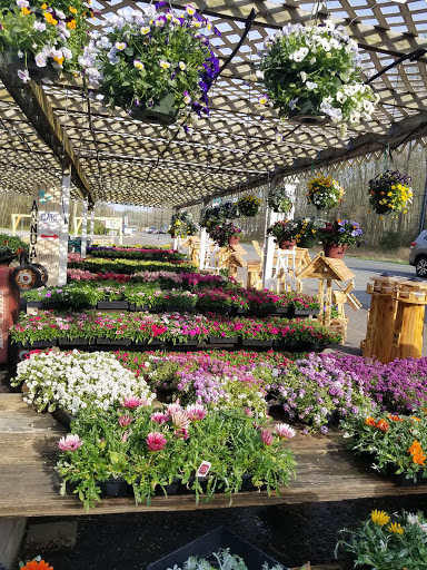 Grocery Store «Red Top Farm Market», reviews and photos, 1801 NJ-70, Southampton Township, NJ 08088, USA