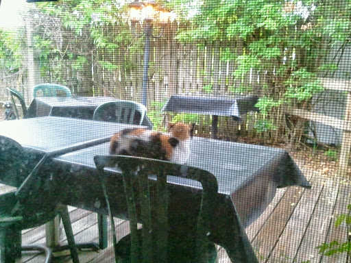 Country Club «Lake Wales Country Club», reviews and photos, 2925 FL-60, Lake Wales, FL 33898, USA