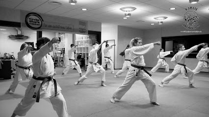 Karate Schule Rheinfelden