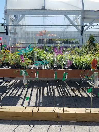 Hardware Store «Valley Park Elevator & Hardware», reviews and photos, 2 Marshall Rd, Valley Park, MO 63088, USA