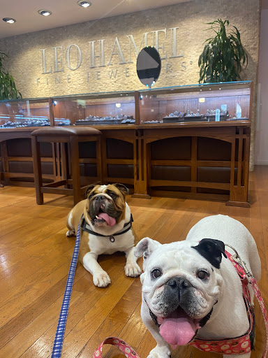 Jewelry Store «Leo Hamel Fine Jewelry & Engagement Ring Store», reviews and photos, 1851 San Diego Ave, San Diego, CA 92110, USA