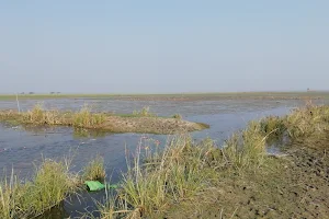 Baraila Lake image