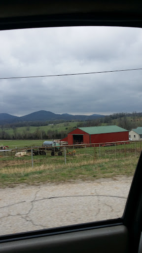 Motorcycle Dealer «Pickles Gap Cycle Shack», reviews and photos, 286 US-65, Conway, AR 72032, USA