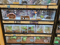 Petco - Photo 8 - Car repair in Wadsworth, OH, Akron