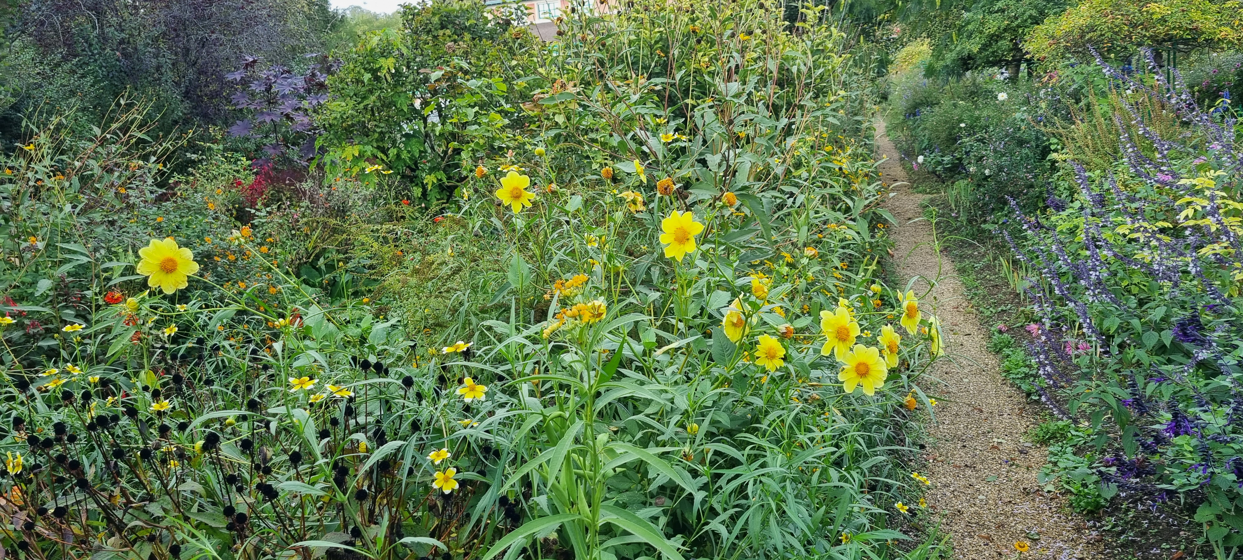 Photo n° 32 de l'avis de lemagicien40. fait le 03/11/2023 à 07:28