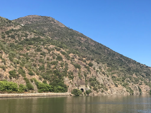 Portodouro - Cruises in the Douro