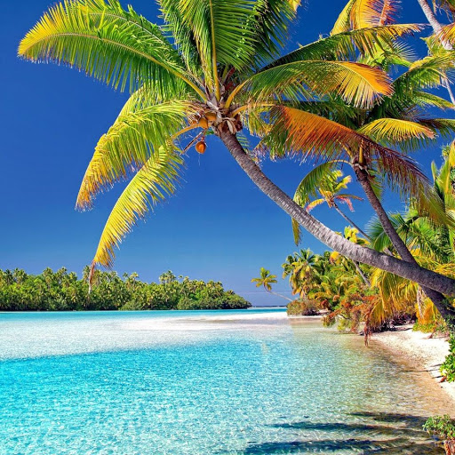 Travel Agency «COMPASS TRAVEL», reviews and photos, 2410 Sycamore Rd, DeKalb, IL 60115, USA