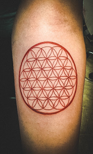 Explore fsu tattoo ideas, creative tattoo ideas in Brighton, available at Branch Out Studios - Tattoo & Piercing Lounge