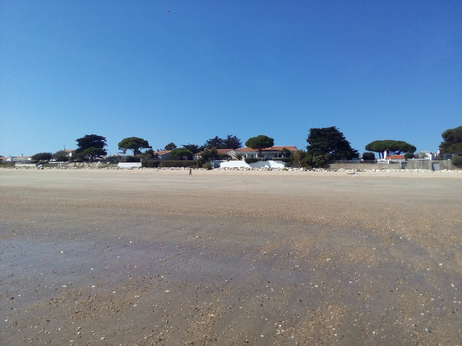 Rivedoux Plage photo #7