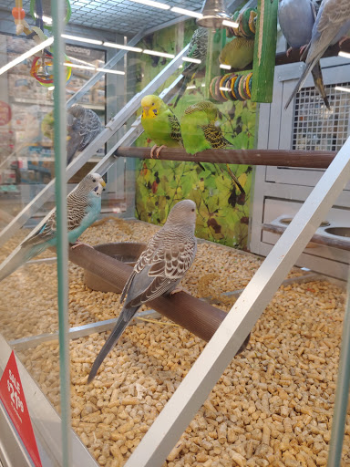 Pet Store «PetSmart», reviews and photos, 727 N Hwy 67, Cedar Hill, TX 75104, USA