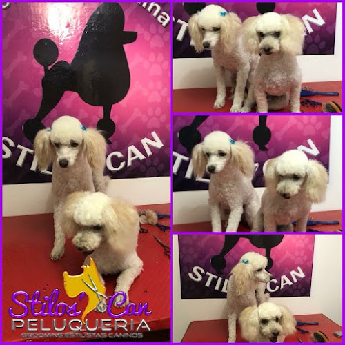 Opiniones de Peluquería canina stilos’can en Calama - Barbería
